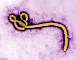 ebola1