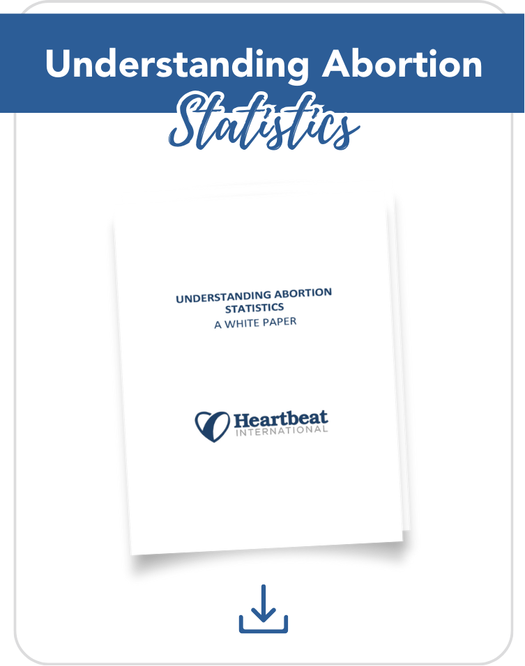 Understanding Abortion Stats img